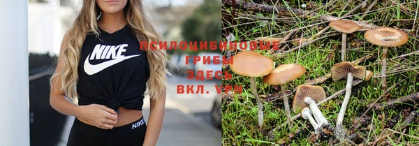 метадон Бородино