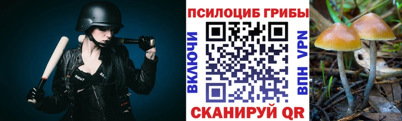 Купить закладки  Болхов  Галлюциногенные грибы GOLDEN TEACHER 